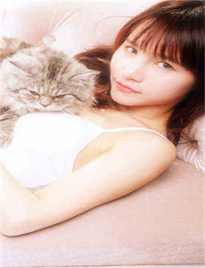 《好莱坞之妓》
