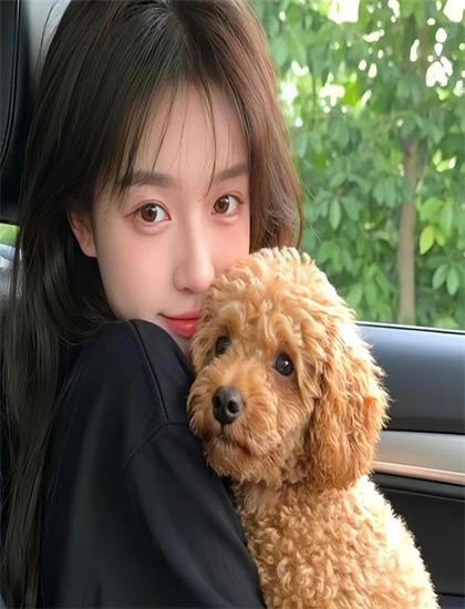 51自学网视频教程-中美元首视频会晤时间